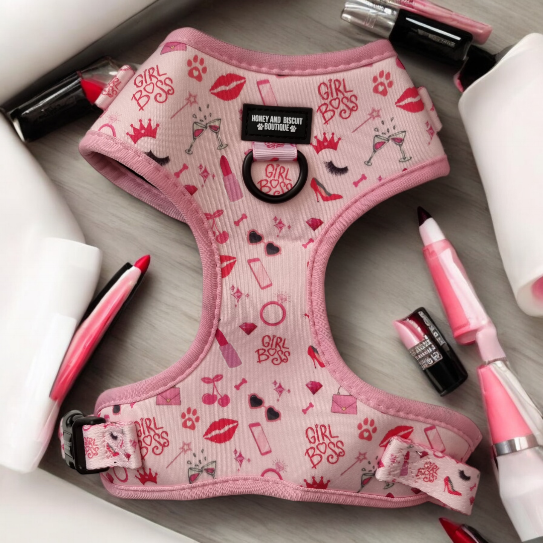 Dog Walkies Bundle - Girl Boss