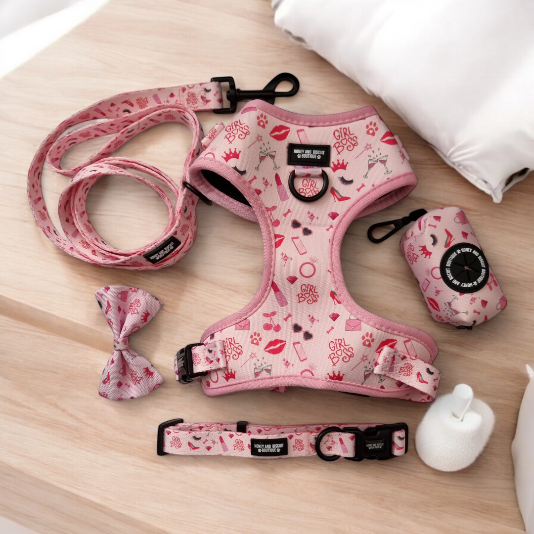 Dog Walkies Bundle - Girl Boss