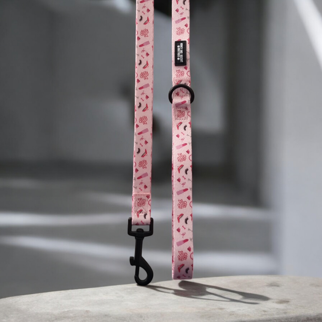 Dog Harness, Collar & Lead Bundle - Girl Boss