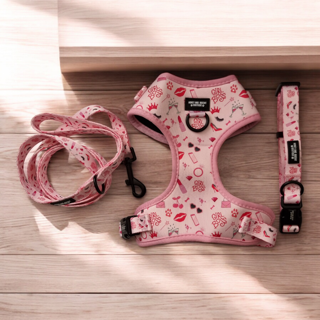 Dog Harness, Collar & Lead Bundle - Girl Boss