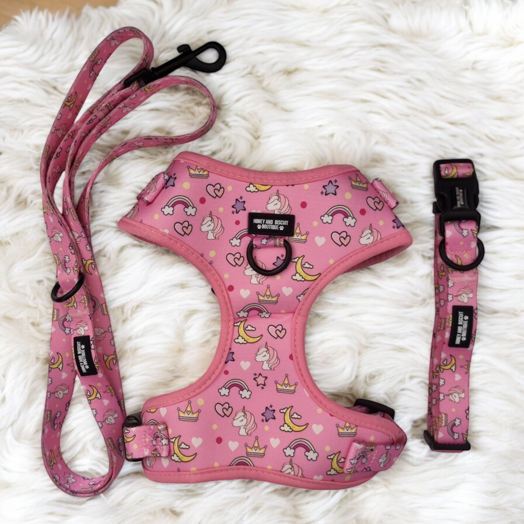 Dog Harness, Collar & Lead Bundle - Rainbow Dreams