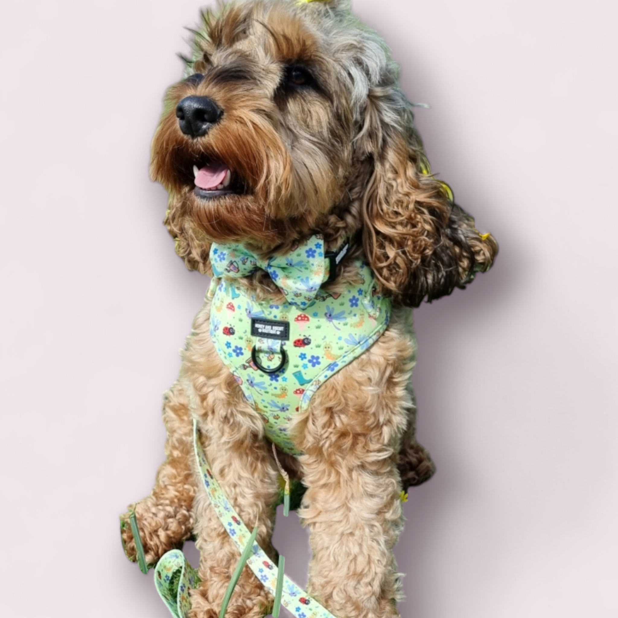 Dog Walkies Bundle - Bugalicious Garden