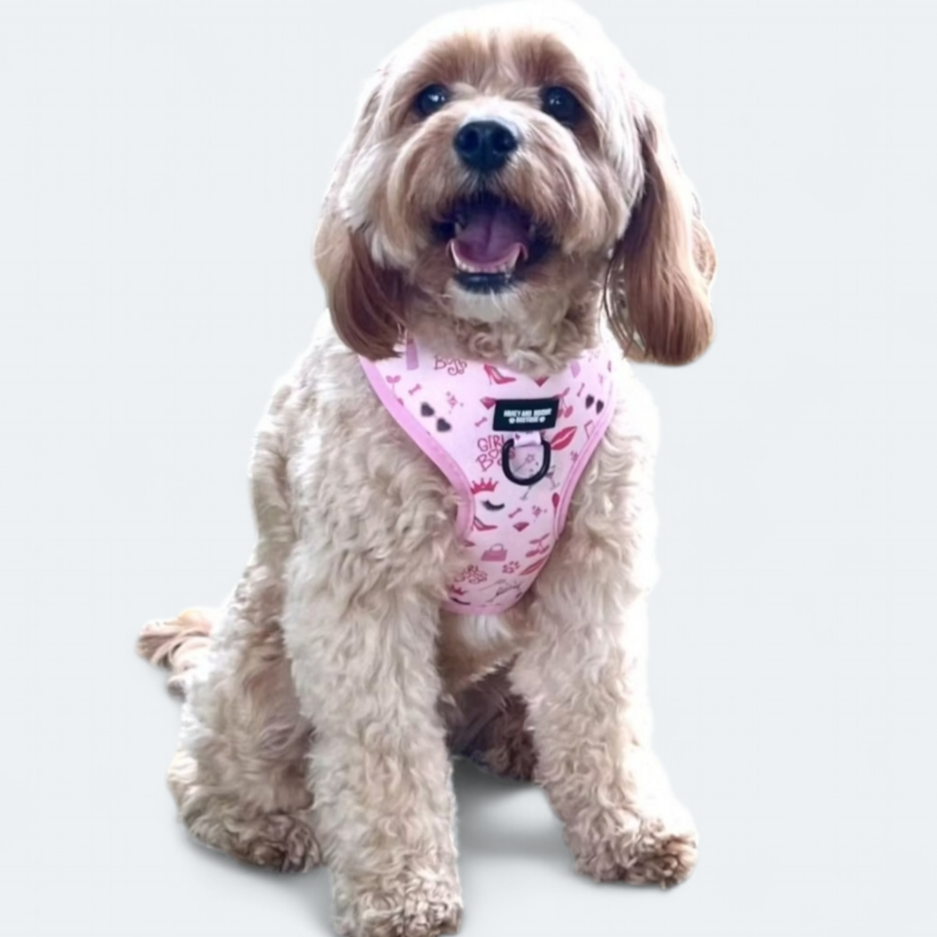 Adjustable Dog Harness Girl Boss