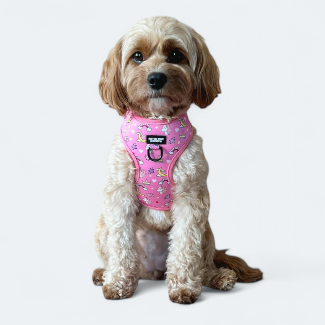 Boutique dog harness online