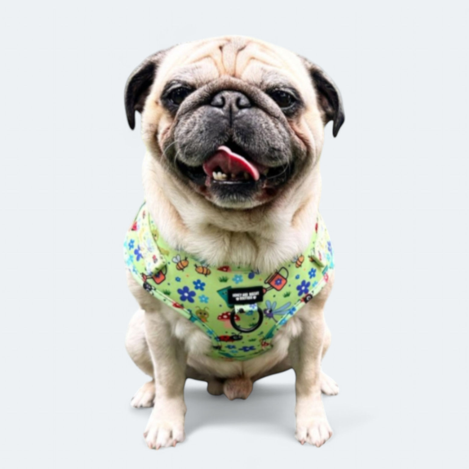 Adjustable Dog Harness Bugalicious Garden