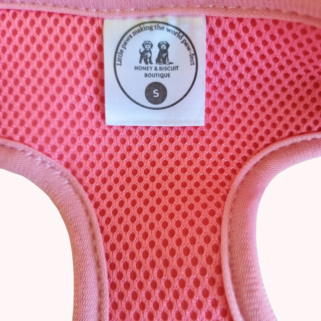 Rainbow Dreams, No Pull Dog Harness