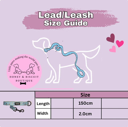 Dog Lead/Leash - Rainbow Dreams