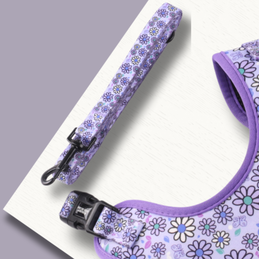 Dog Lead/Leash - Pups A Daisy Lilac