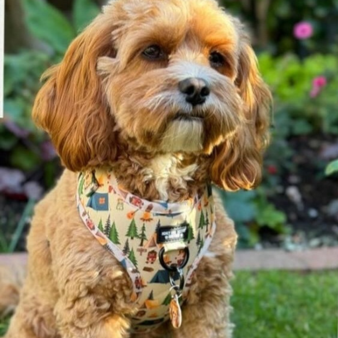 Adjustable Dog Harness Pup's In The Woods