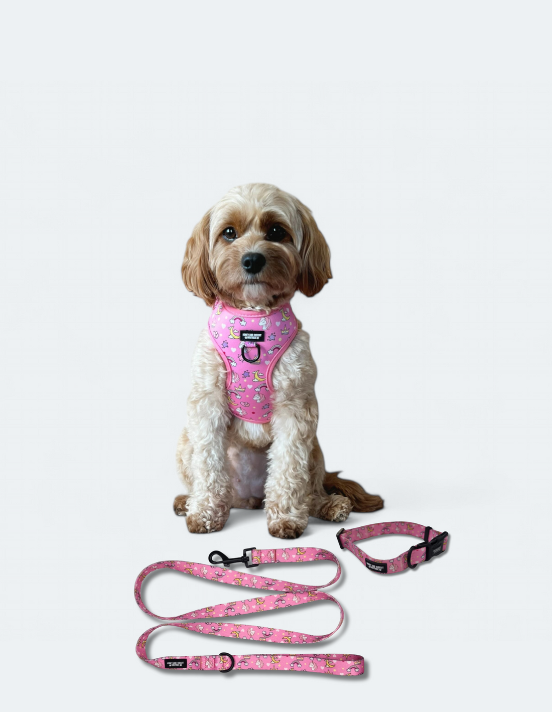 Dog Harness, Collar & Lead Bundle - Rainbow Dreams