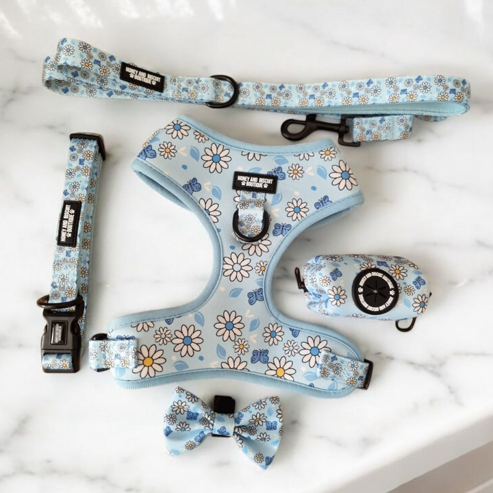 Dog Walkies Bundle - Pups A Daisy Blue