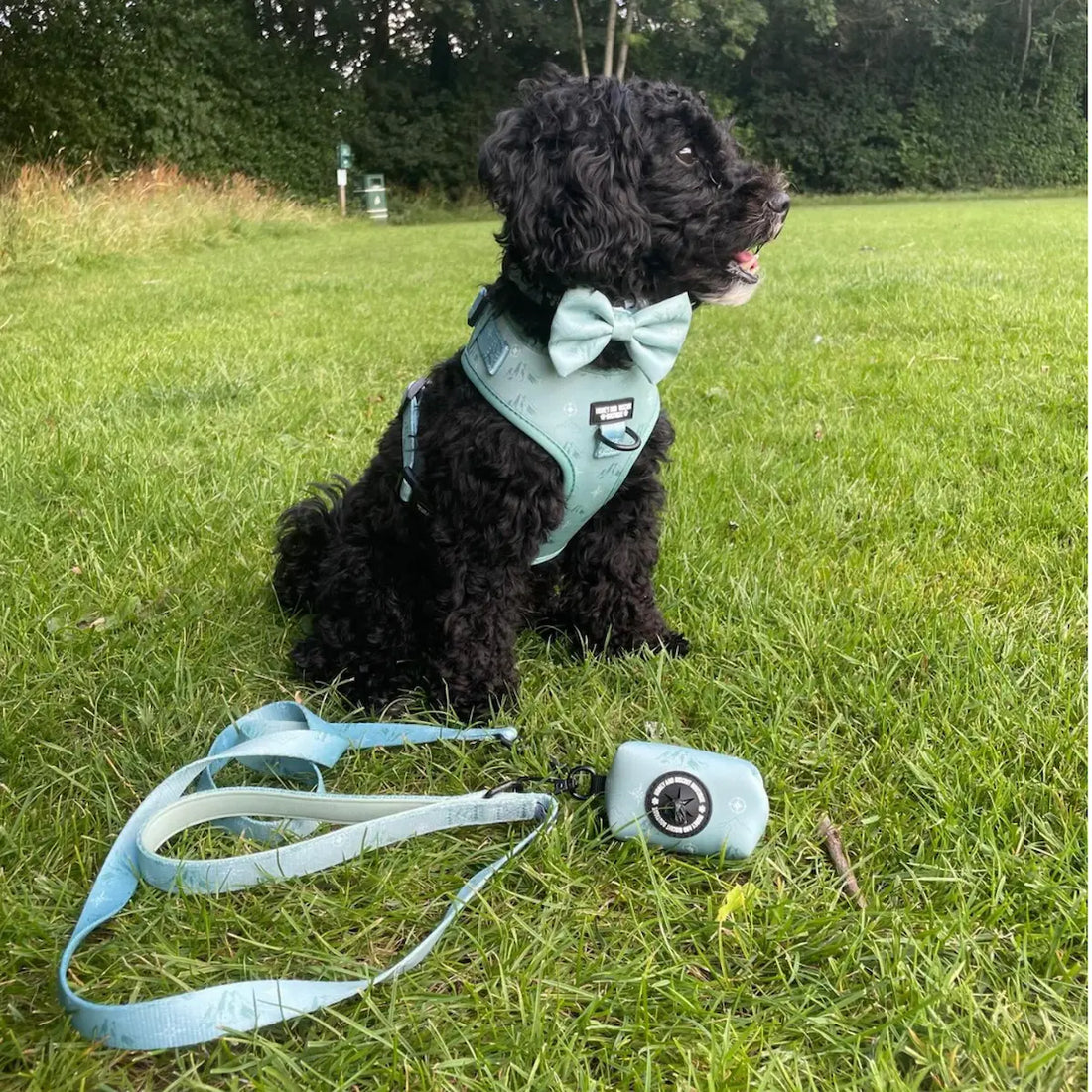 Free & Wild – Complete Walkies Bundle (5 Piece Set)