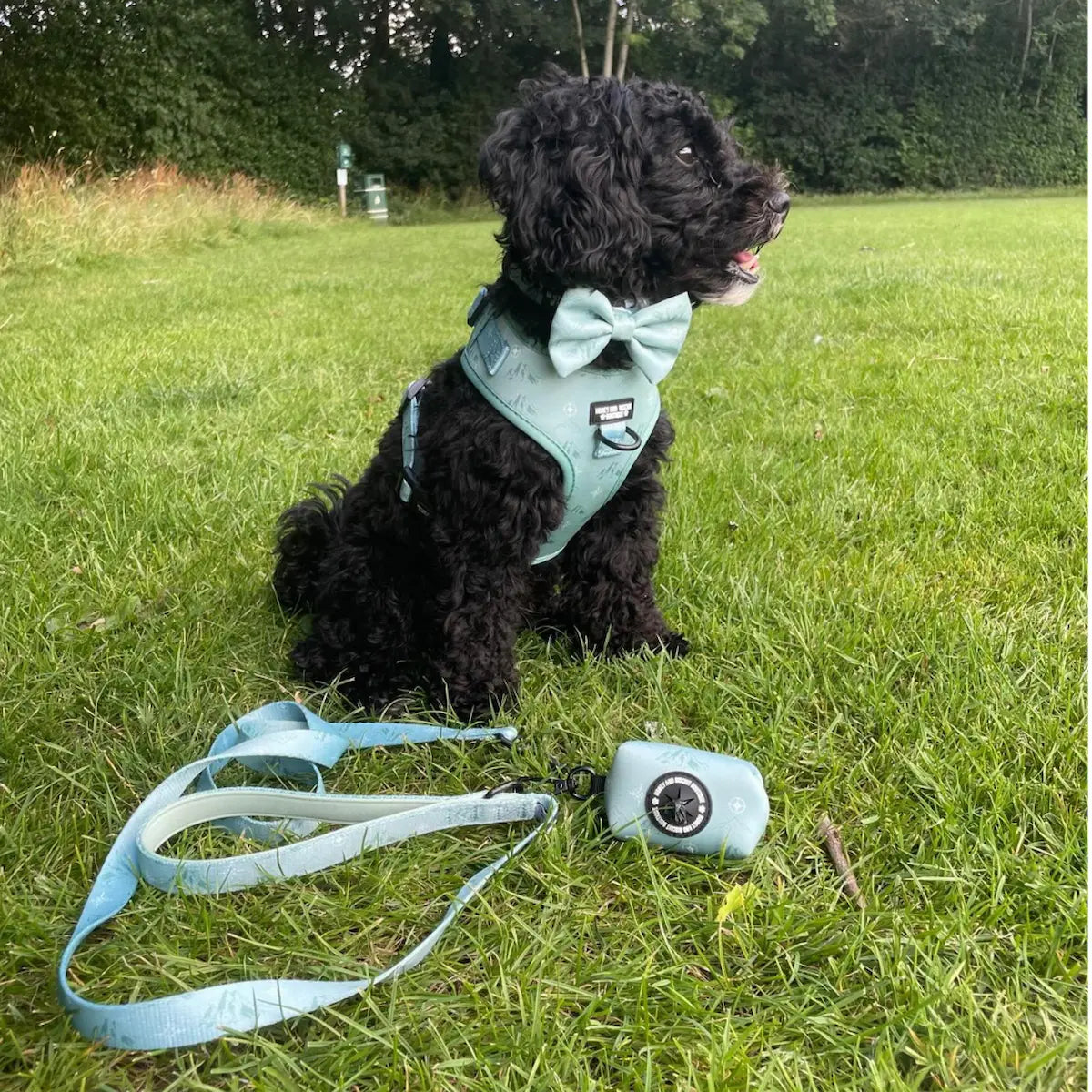Free & Wild – Harness, Lead & Collar Bundle (3 Piece Set)