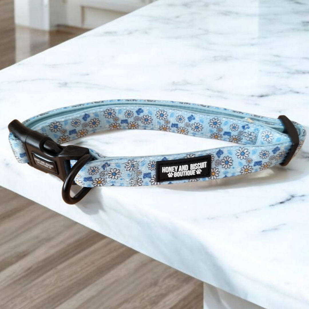 Dog Harness, Collar & Lead Bundle - Pups A Daisy Blue
