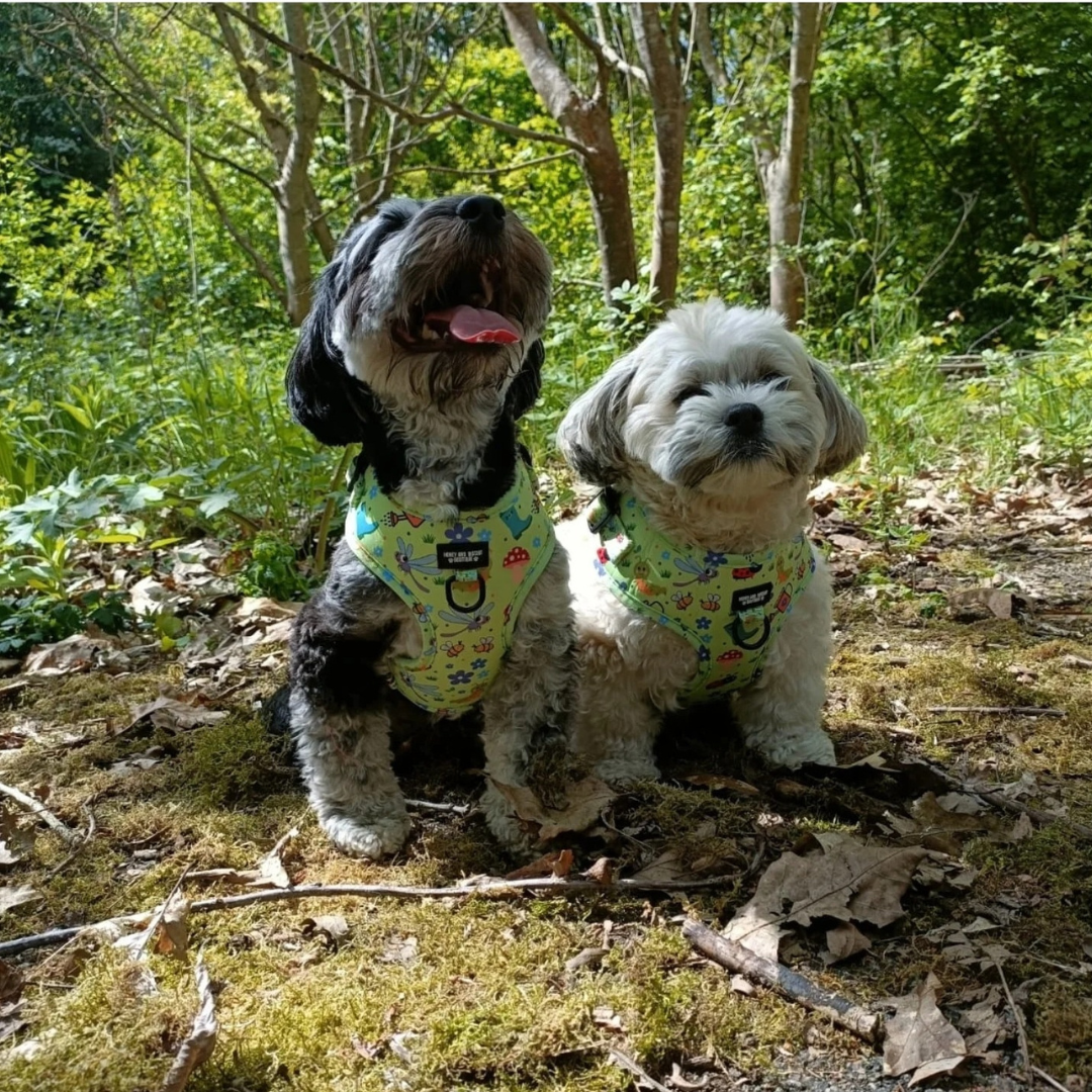 Bugalicious Garden – Adjustable Dog Harness for Small Dogs (No Pull)
