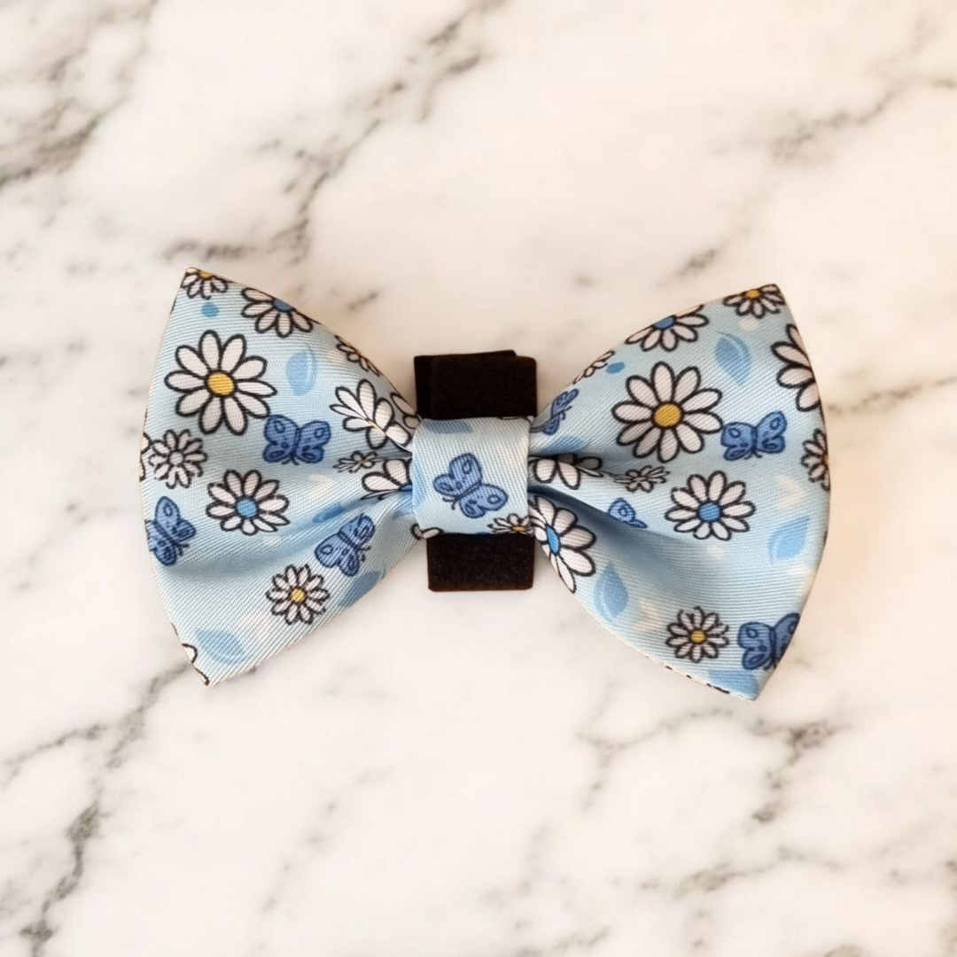 Dog Walkies Bundle - Pups A Daisy Blue