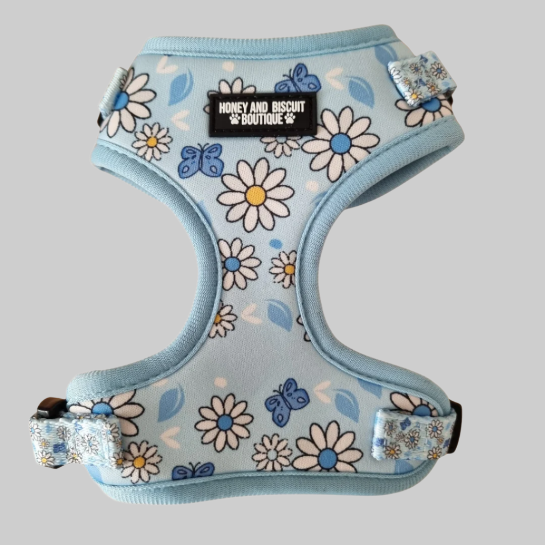 Dog Harness, Collar & Lead Bundle - Pups A Daisy Blue