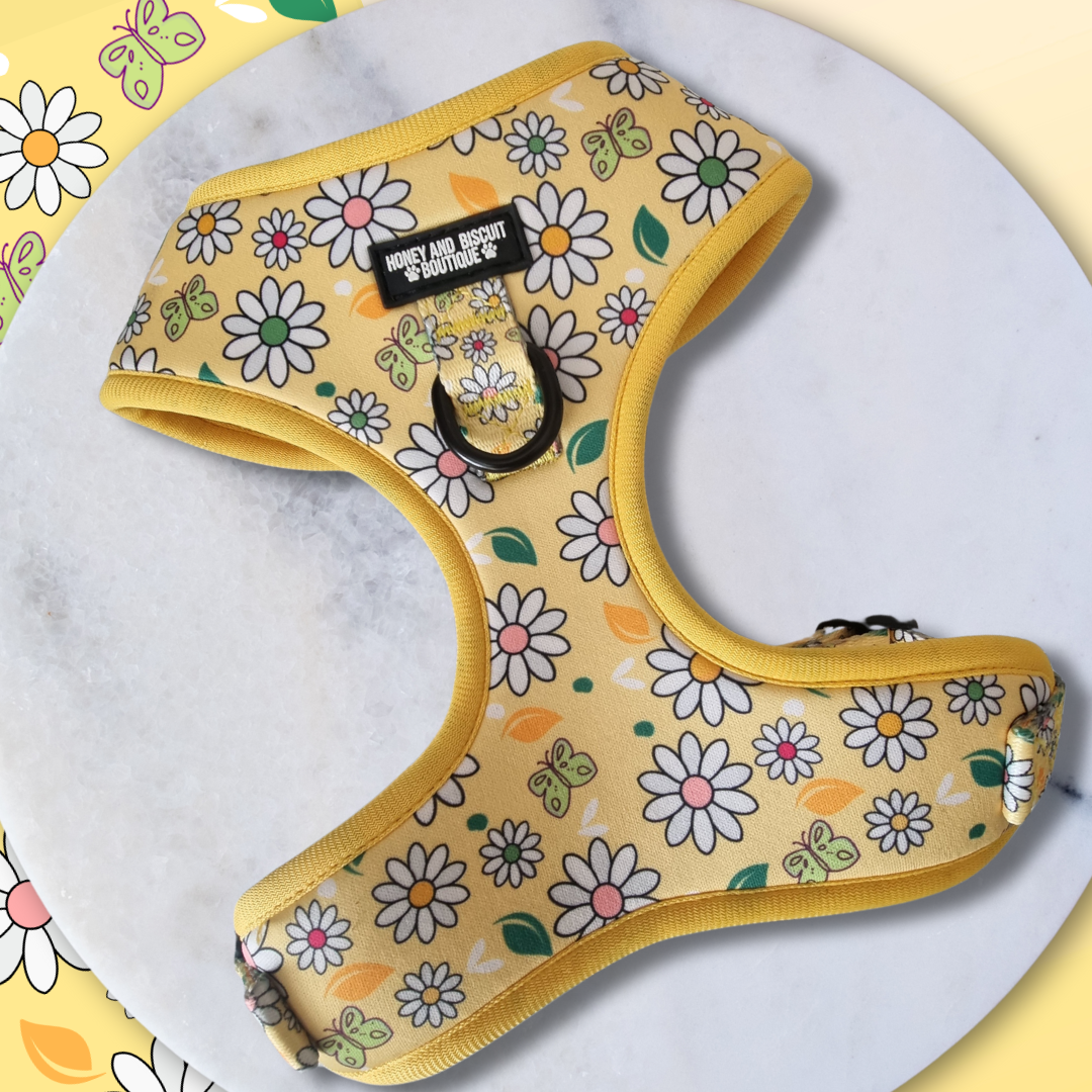 Adjustable Dog Harness Pups a Daisy Yellow Large