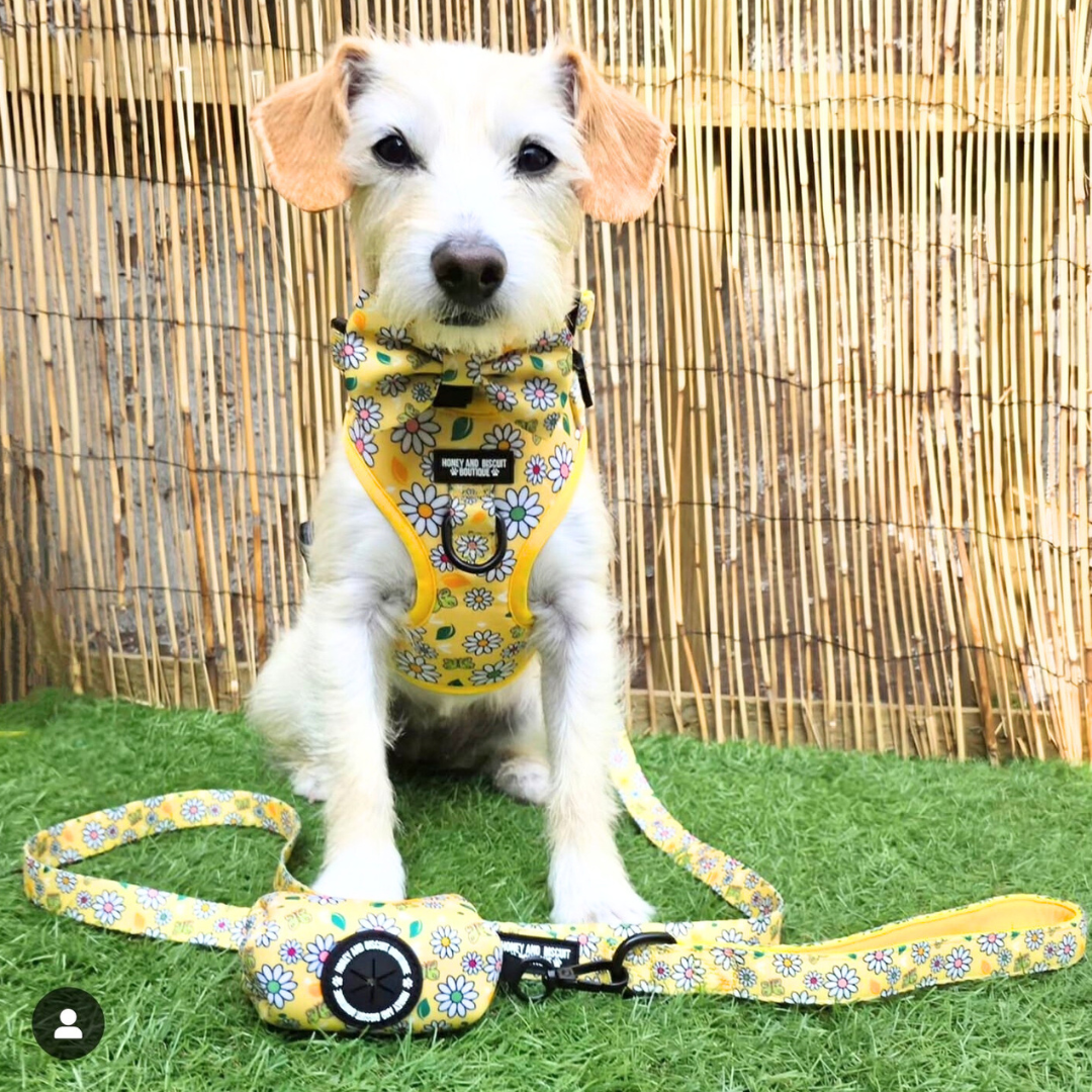 Adjustable Dog Harness Pups a Daisy Yellow