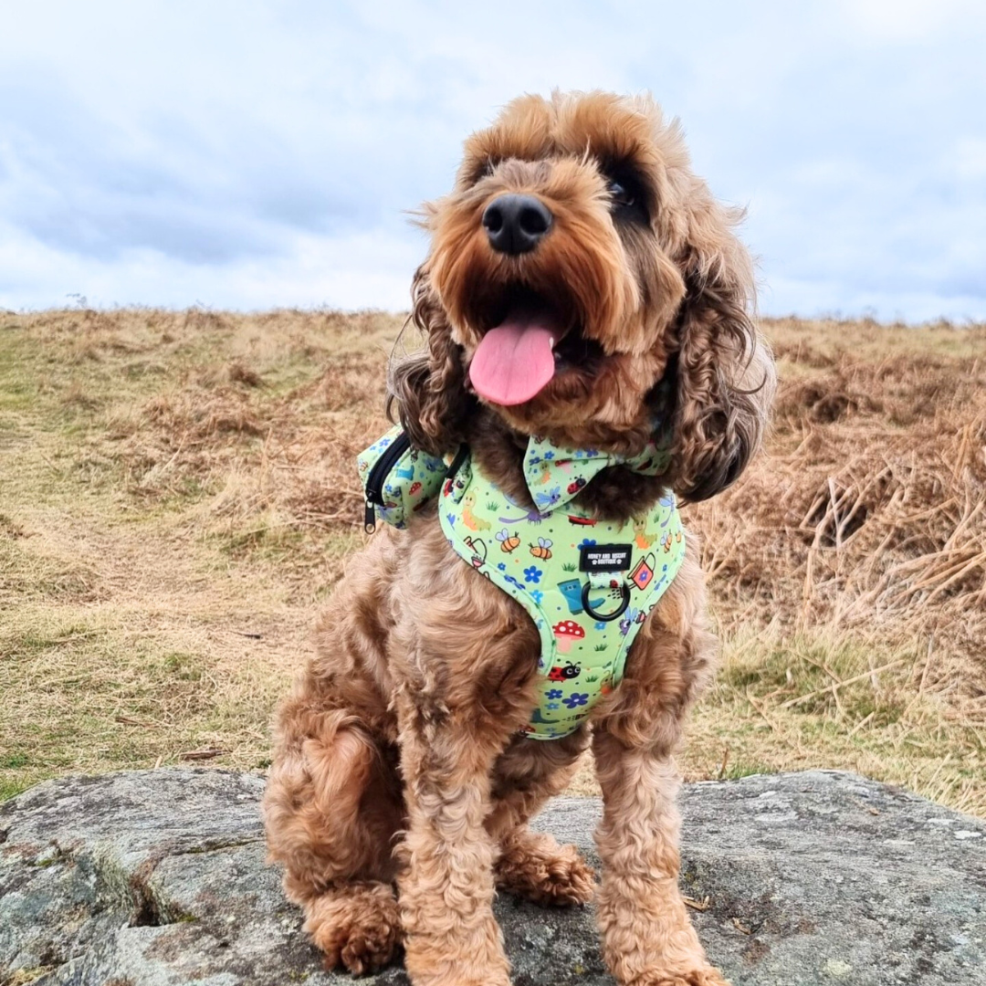 Bugalicious Garden – Adjustable Dog Harness for Small Dogs (No Pull)