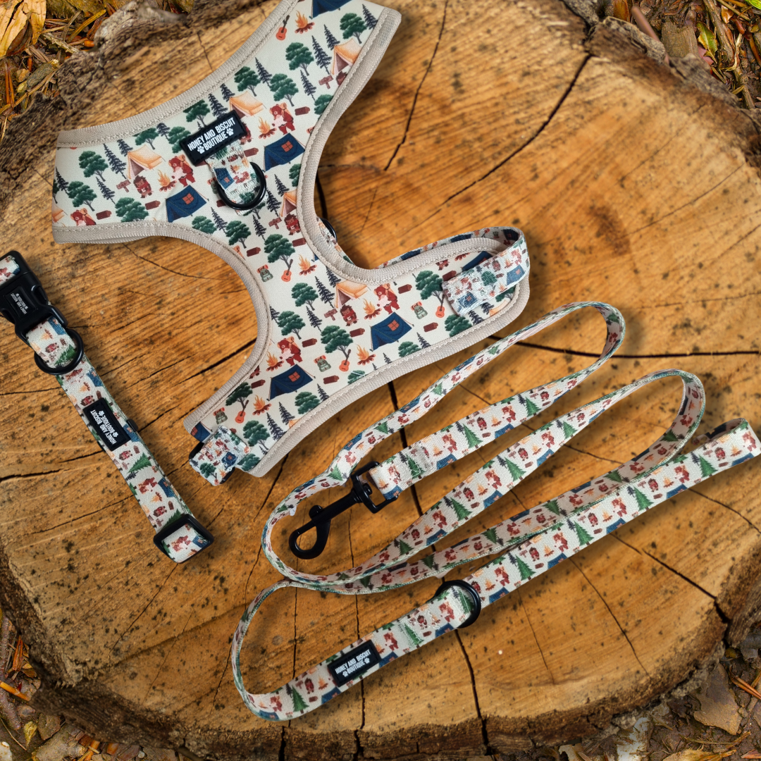 Dog Harness, Collar & Lead/Leash Bundle - Pups In The Woods