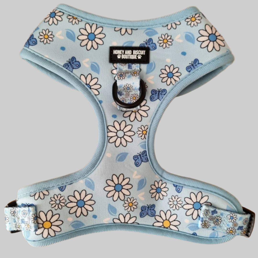 Dog Harness, Collar & Lead Bundle - Pups A Daisy Blue