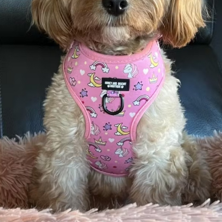 Rainbow Dreams – Adjustable Dog Harness for Small Dogs (No Pull)