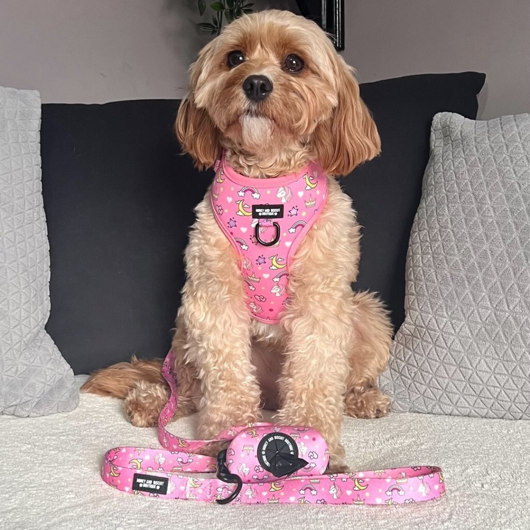 Dog Walkies Bundle - Rainbow Dreams