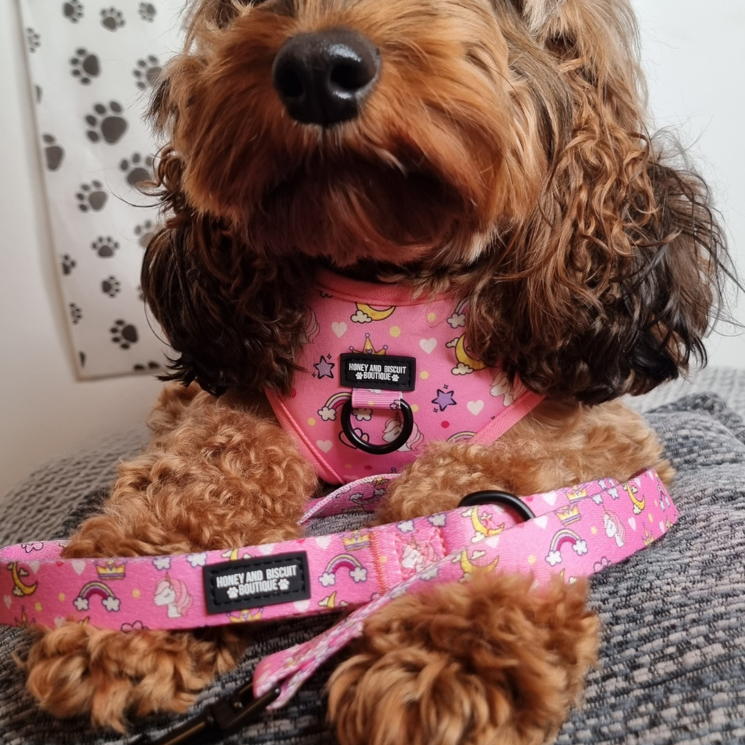 Dog Harness, Collar & Lead Bundle - Rainbow Dreams