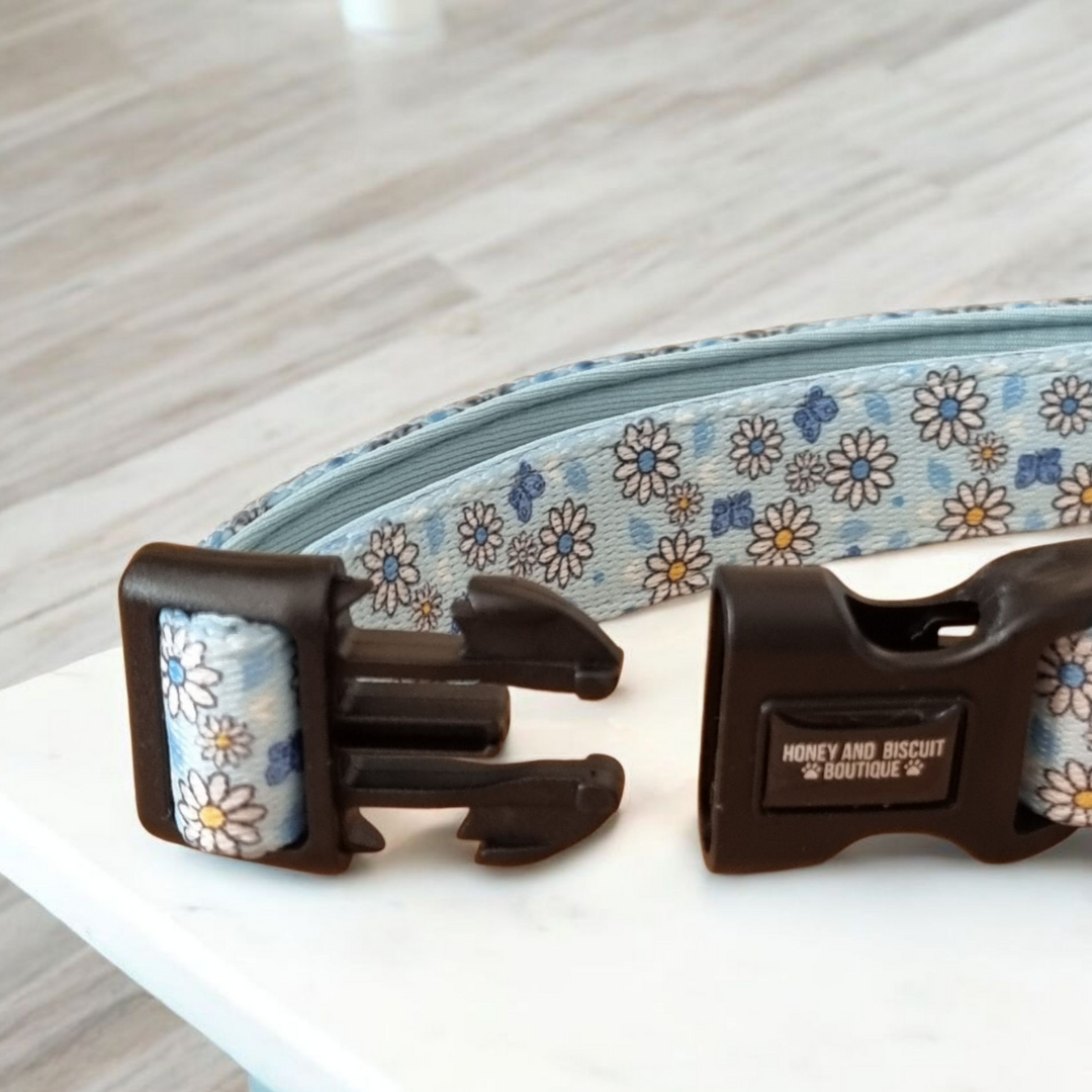 Dog Collar - Pups A Daisy Blue