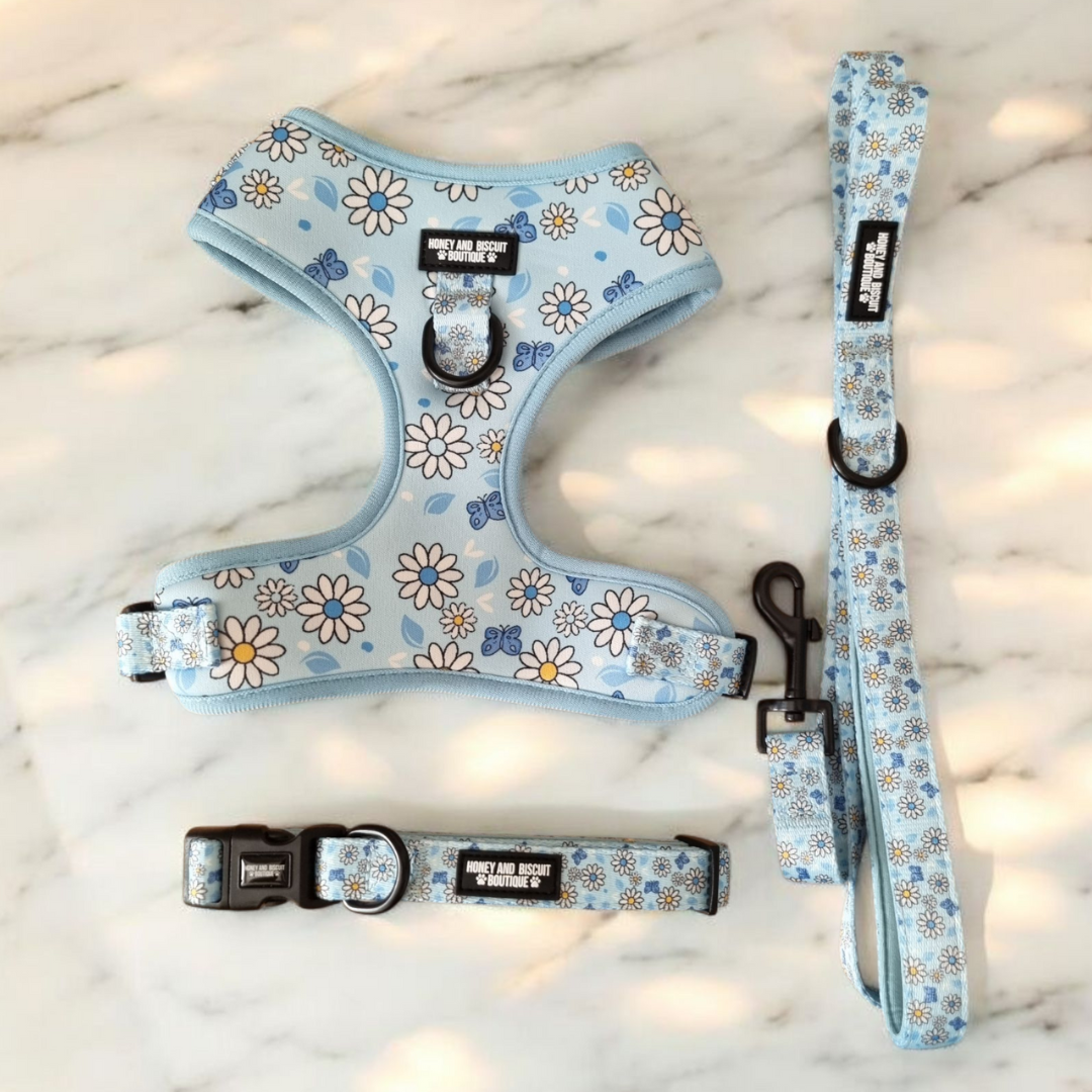 Dog Harness, Collar & Lead Bundle - Pups A Daisy Blue