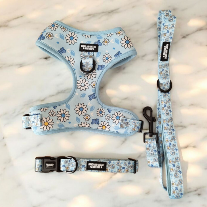 Dog Harness, Collar & Lead Bundle - Pups A Daisy Blue