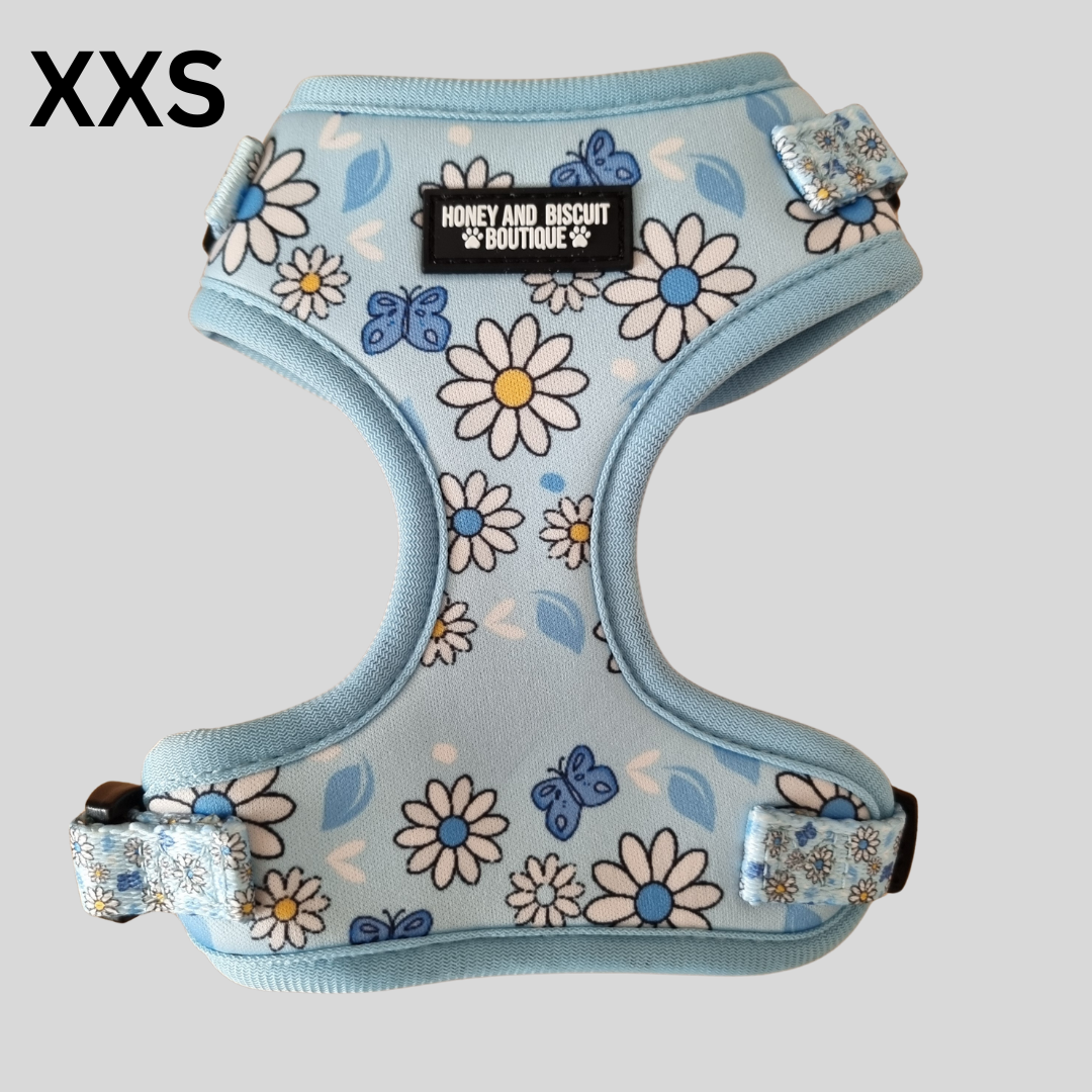 Dog Walkies Bundle - Pups A Daisy Blue