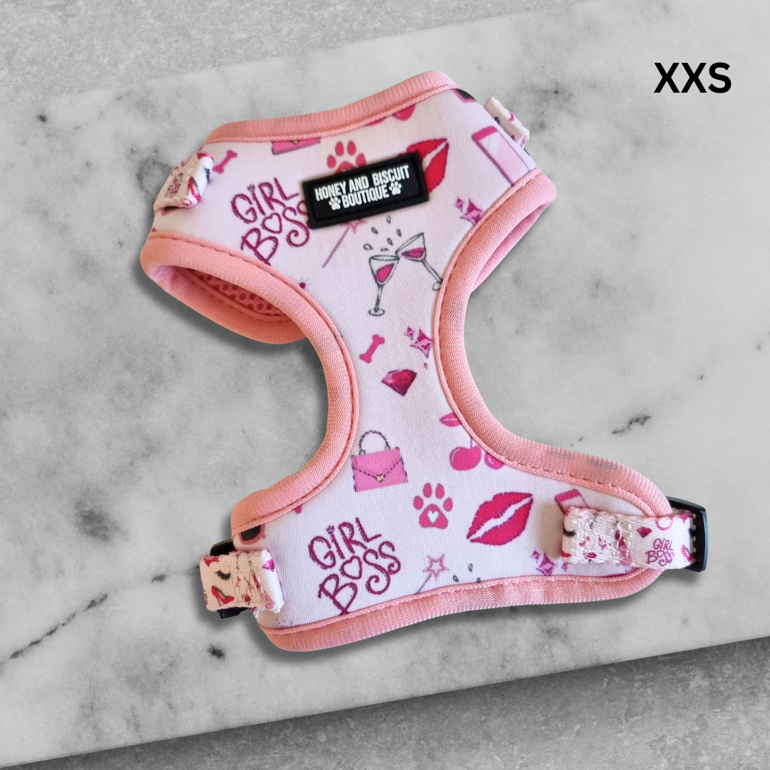 Girl Boss – Adjustable Dog Harness for Small Dogs (No Pull) XXS