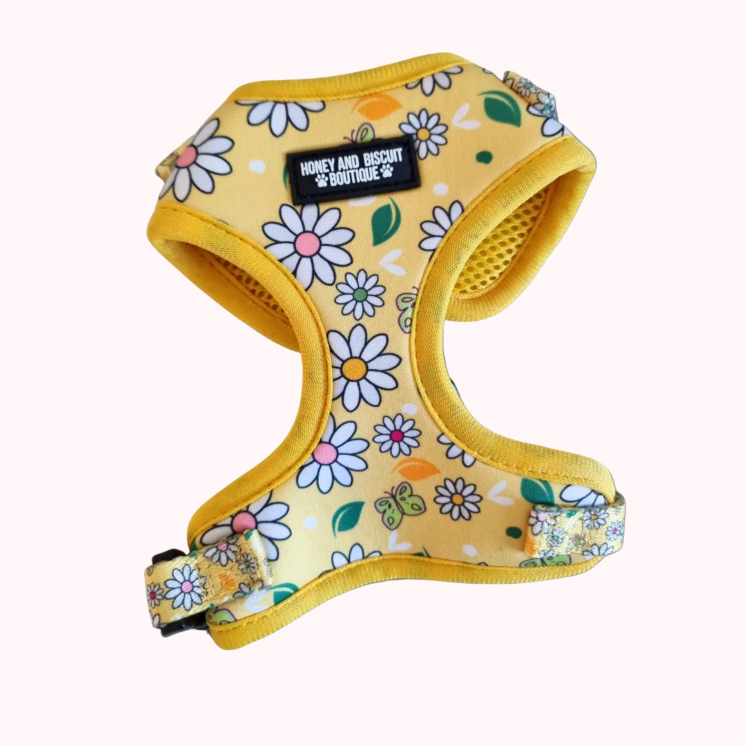 Pups A Daisy Yellow– Adjustable Floral Dog Harness for Small Dogs (No Pull) XXS