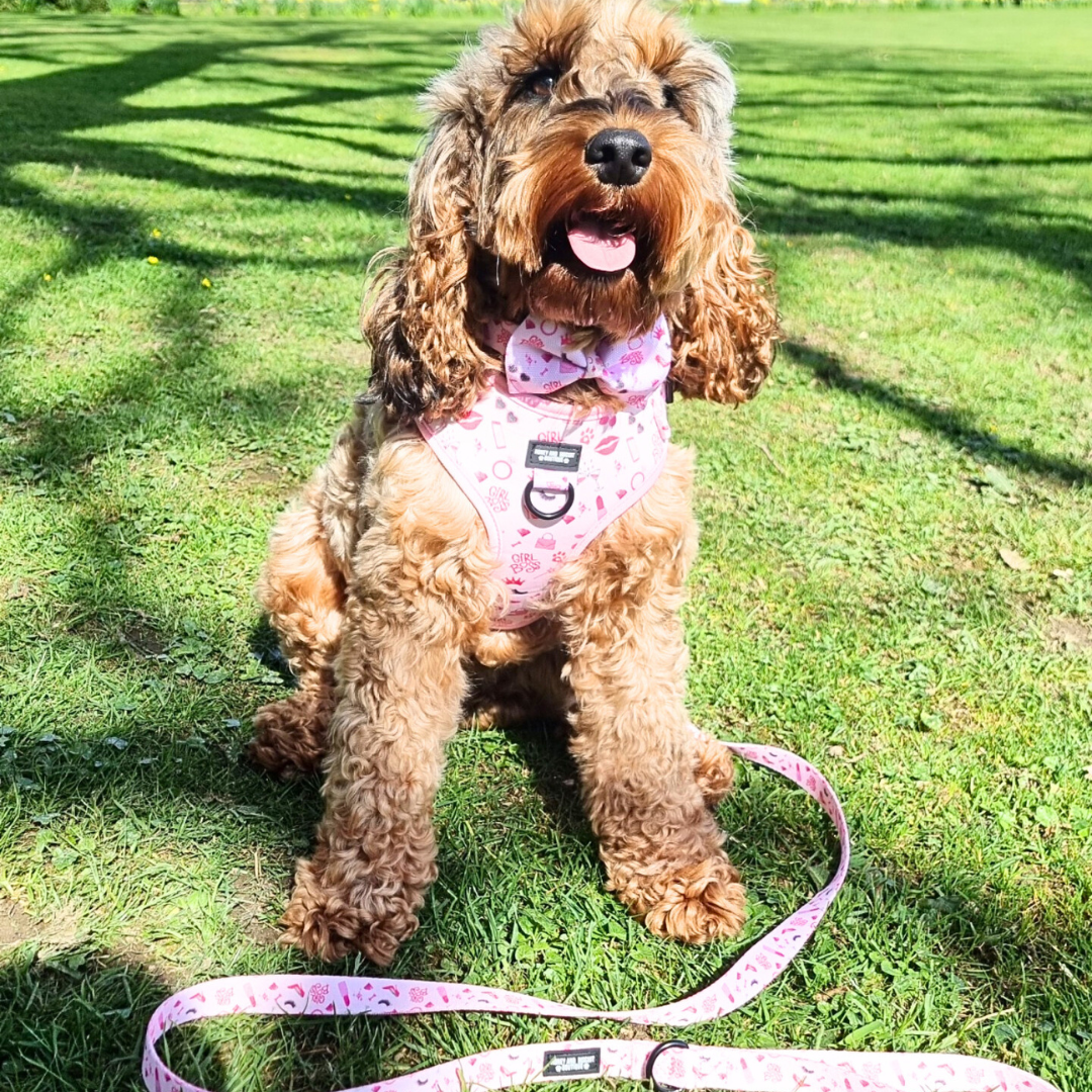 Dog Walkies Bundle - Girl Boss