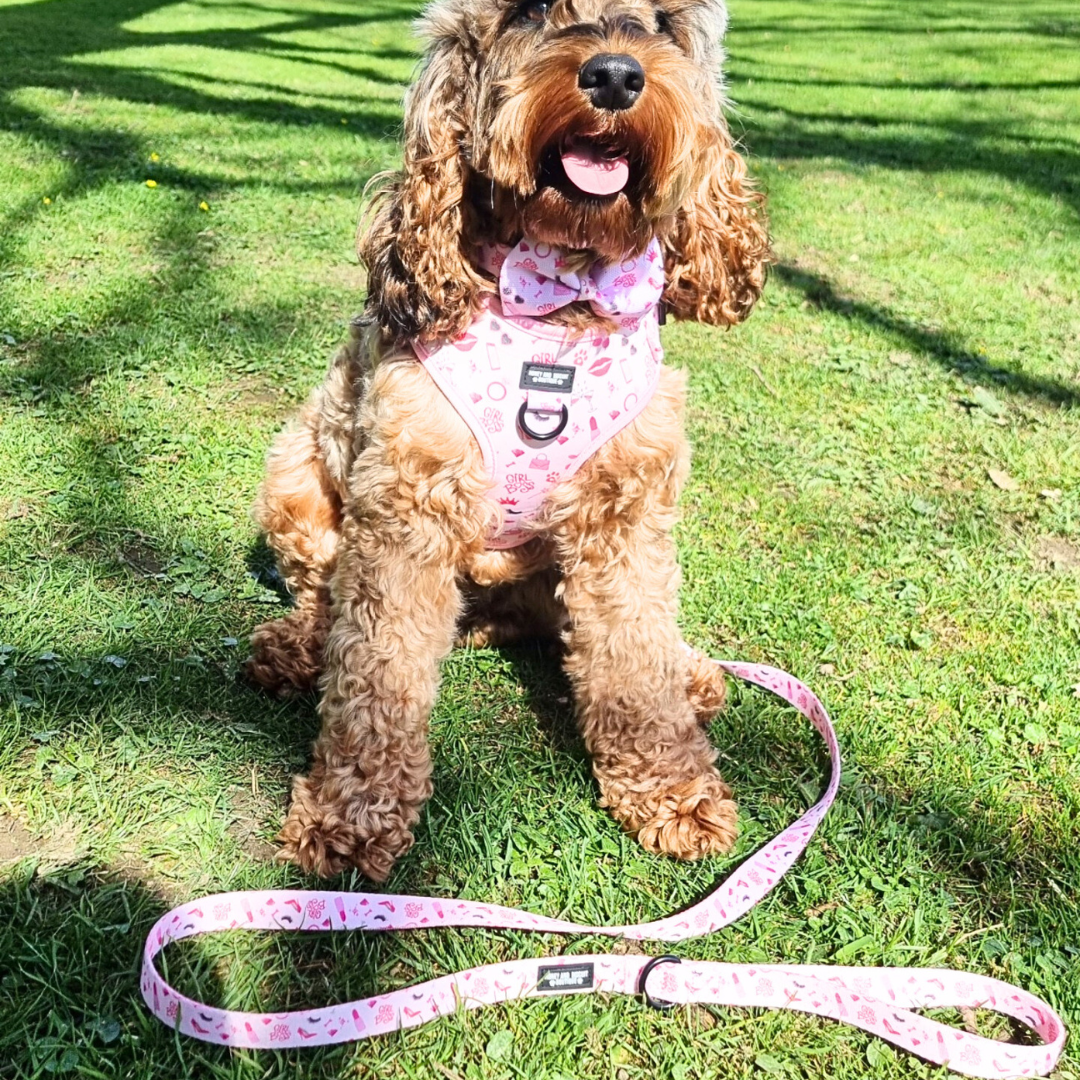 Dog Lead/Leash - Girl Boss