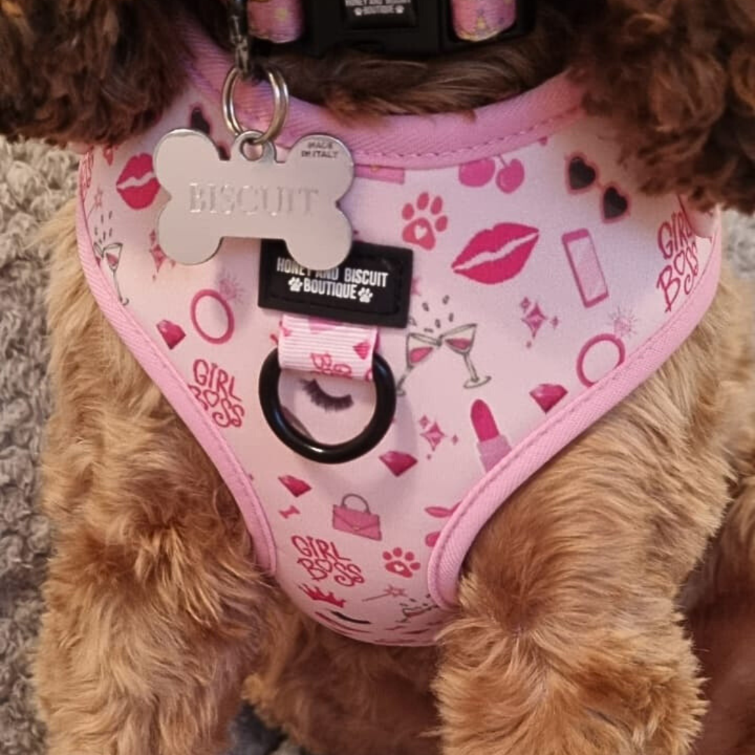 Dog Harness, Collar & Lead Bundle - Girl Boss