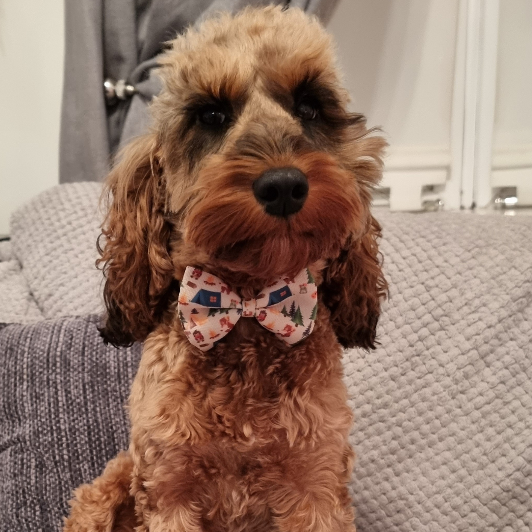 Dog Bow - Pup's In The Woods