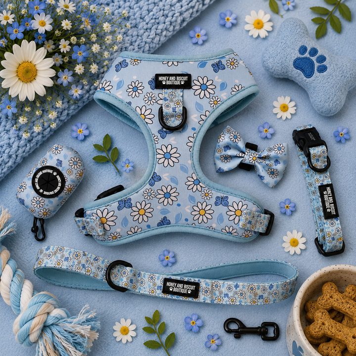 Pups A Daisy Blue – Complete Walkies Bundle for Small Dogs (5 Piece Set)
