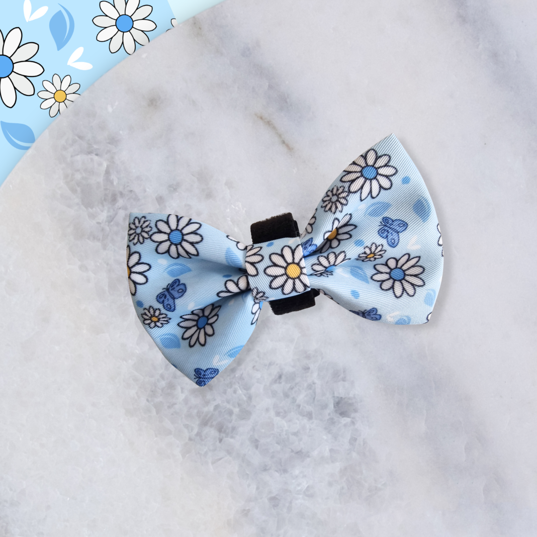 Dog Bow - Pups A Daisy Blue