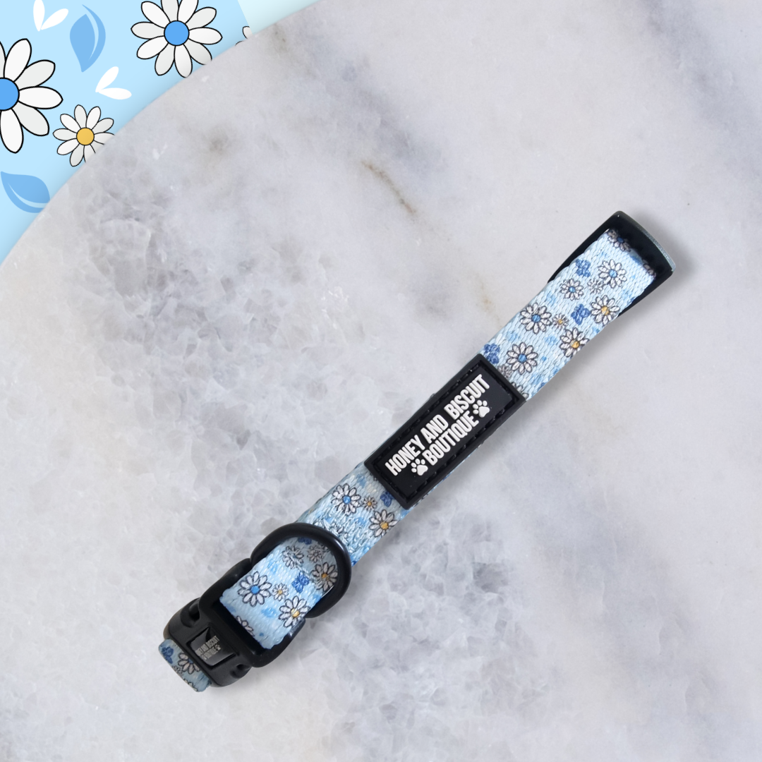 Dog Collar - Pups A Daisy Blue