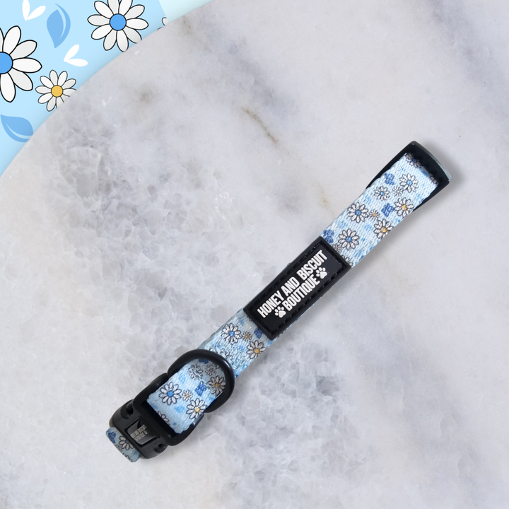 Dog Collar - Pups A Daisy Blue