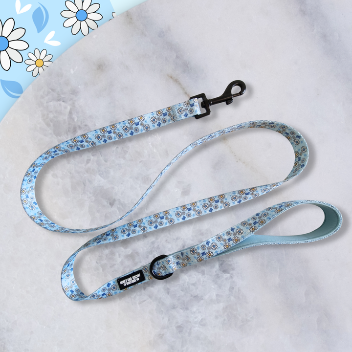 Dog Lead - Pups A Daisy Blue