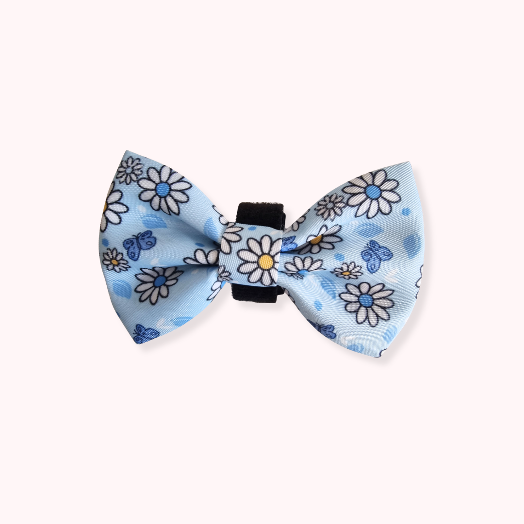 Dog Bow - Pups A Daisy Blue