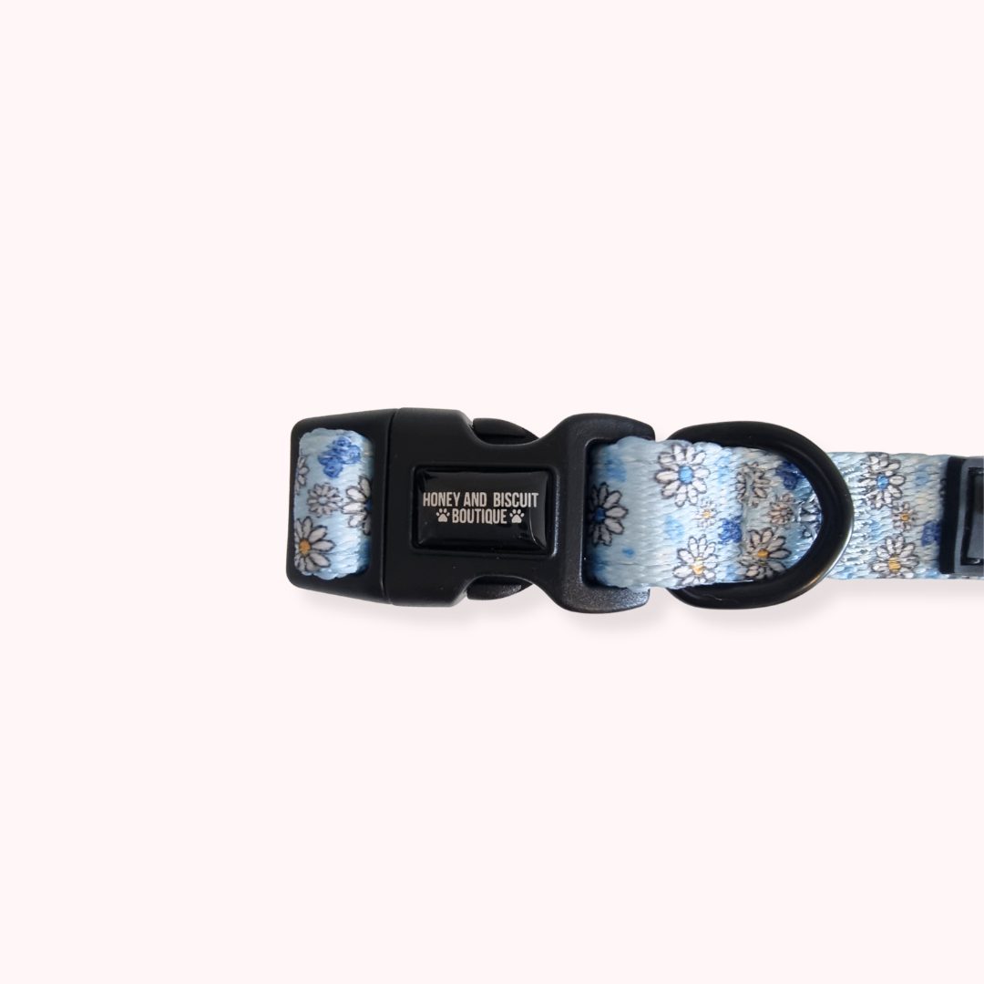 Dog Collar - Pups A Daisy Blue