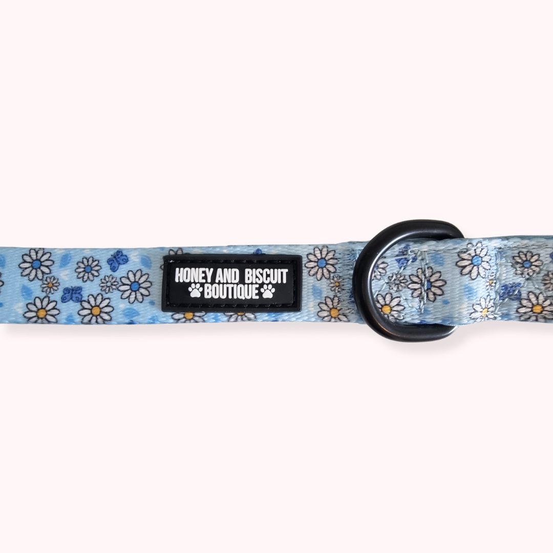 Dog Lead - Pups A Daisy Blue