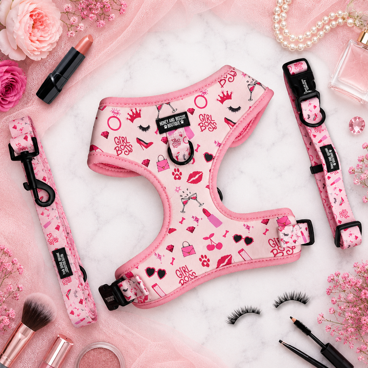 Girl Boss – Harness, Lead & Collar Bundle for Small Dogs (3 Piece Set)