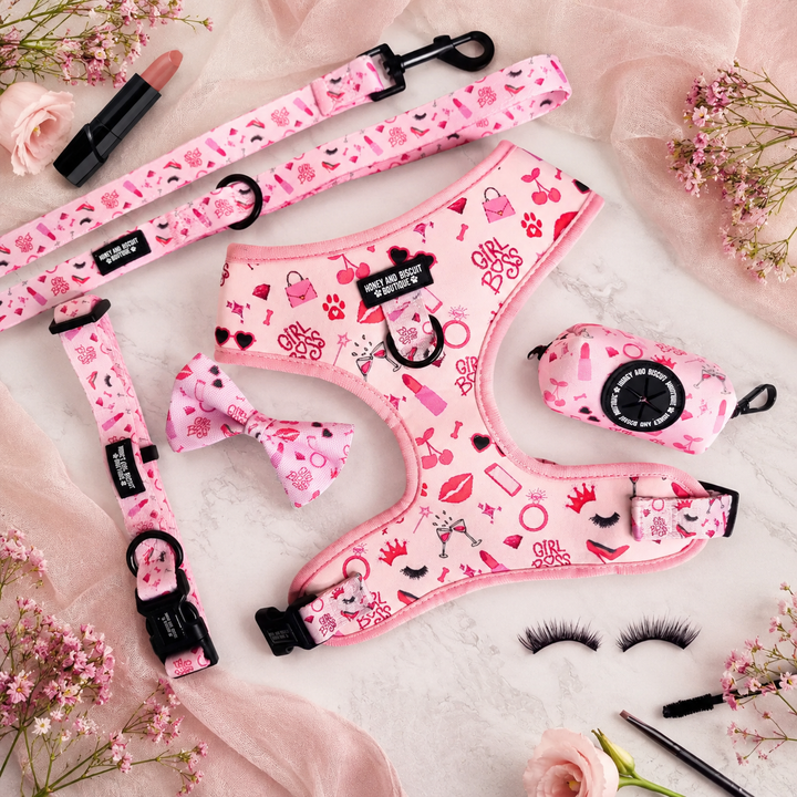 Girl Boss – Complete Walkies Bundle for Small Dogs (5 Piece Set)