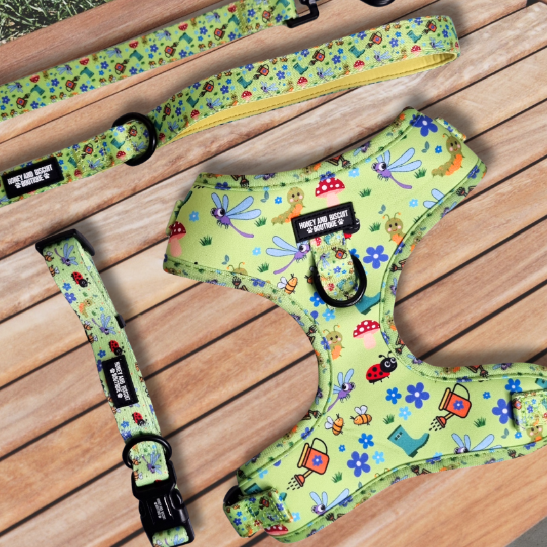 Dog Harness, Collar & Lead Bundle - Bugalicious Garden